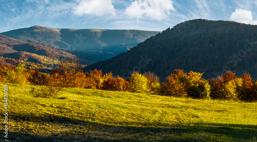 grassy meadow on hillside in autumn. beautiful mountainous landscape on a bright day