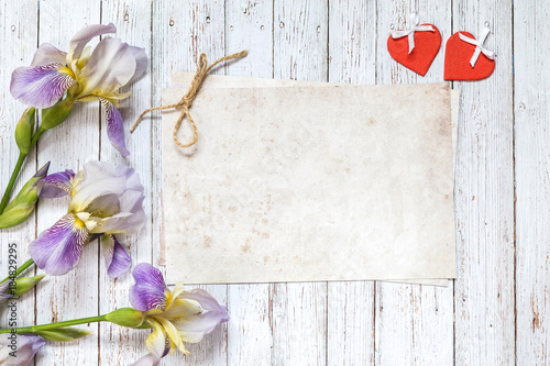 Fototapeta Naklejka Na Ścianę i Meble -  Image with iris.