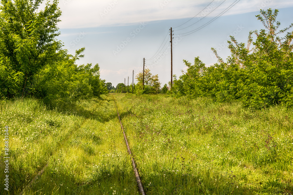 Fototapeta premium old and abandoned railroad in Serbia 
