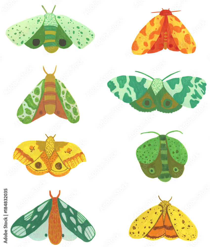 Painted Moths Painted Moths