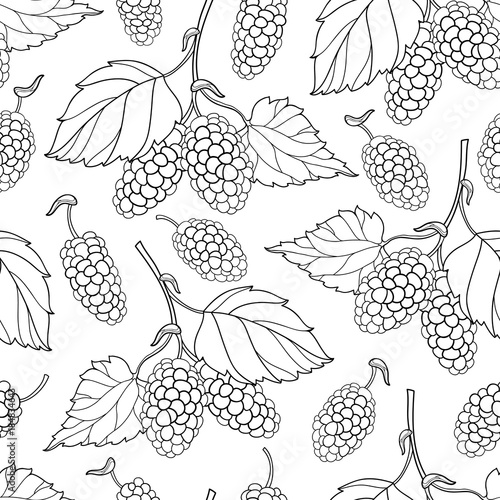 Fotografia Vector seamless pattern with outline Mulberry or Morus bunch with berry and leaf in black on the white background