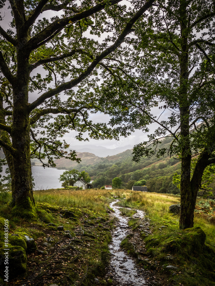 walking on the west highland way near loch lomond, scotland walking on the west highland way near loch lomond, scotland