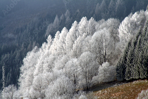 Winterlandschaft in Aflenz photo