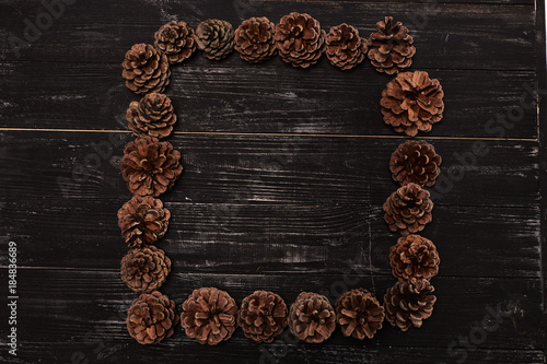Frame in the form of a square of brown cones on a black wooden background © Linza