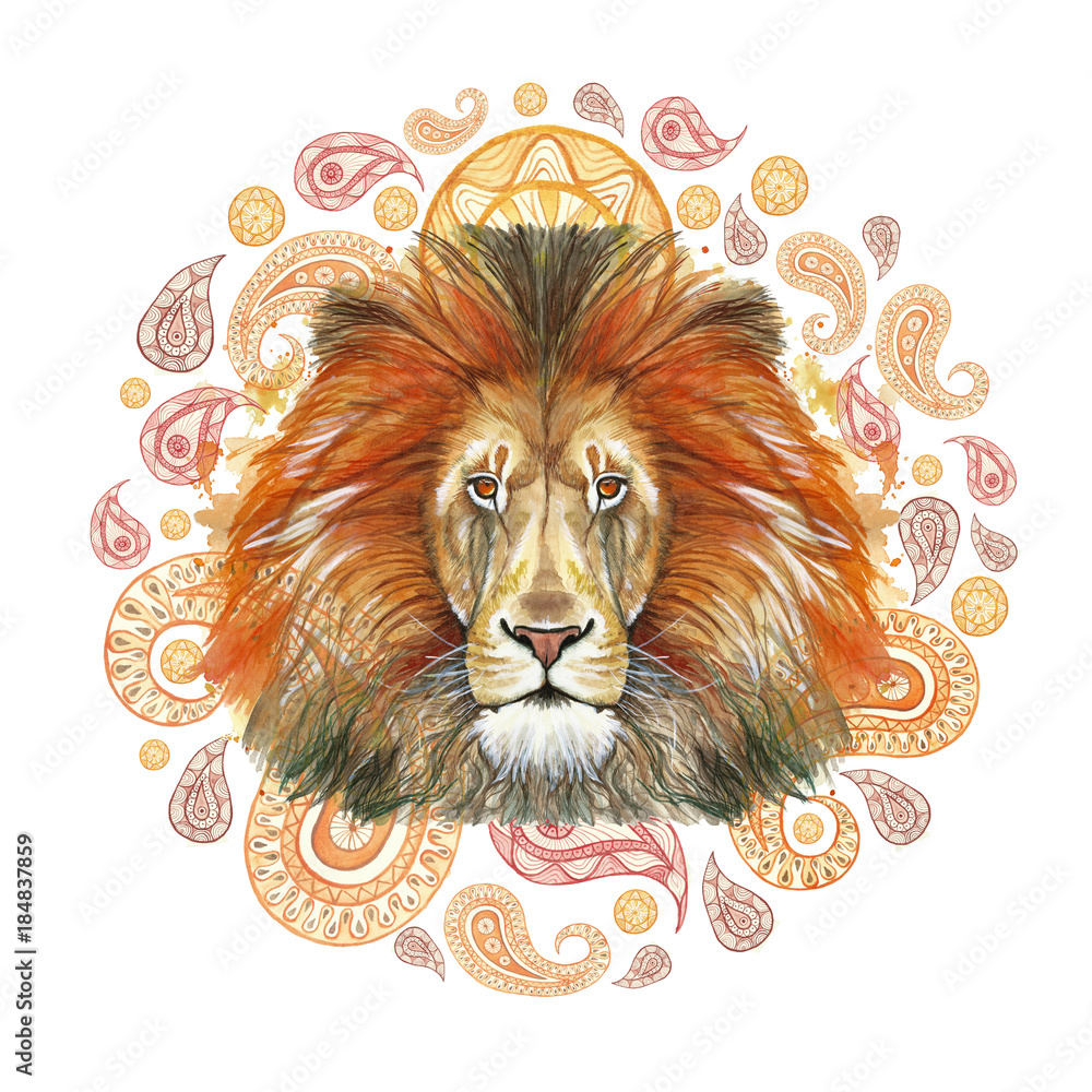 Watercolor drawing of an animal of a mammal, a predator of a red lion, a red