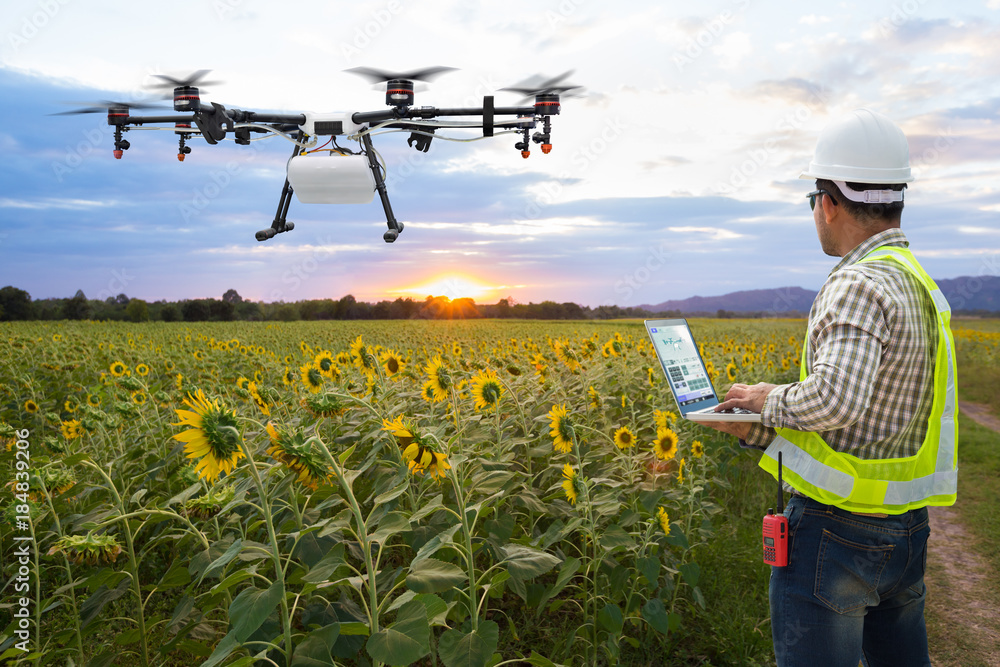 Technician farmer use wifi computer control agriculture drone on the  sunflower field, Smart farm concept Photos | Adobe Stock