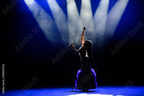 A young woman singer on stage during a concert photo