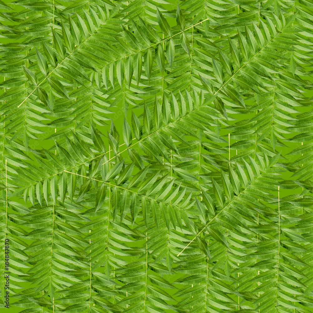 Seamless pattern with green leaves Seamless pattern with green leaves
