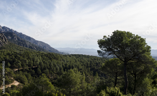 Panoramic view of mountains and forest path at Montserrat mountains in Catalonia