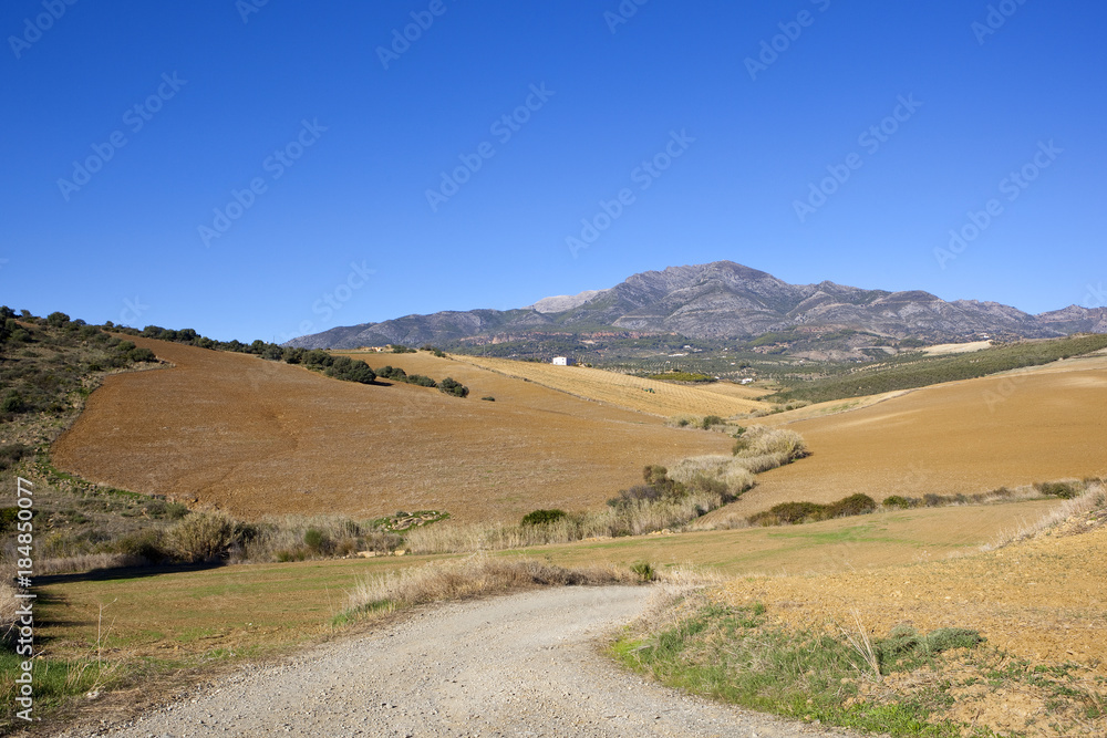 andalucian farming scenery andalucian farming scenery