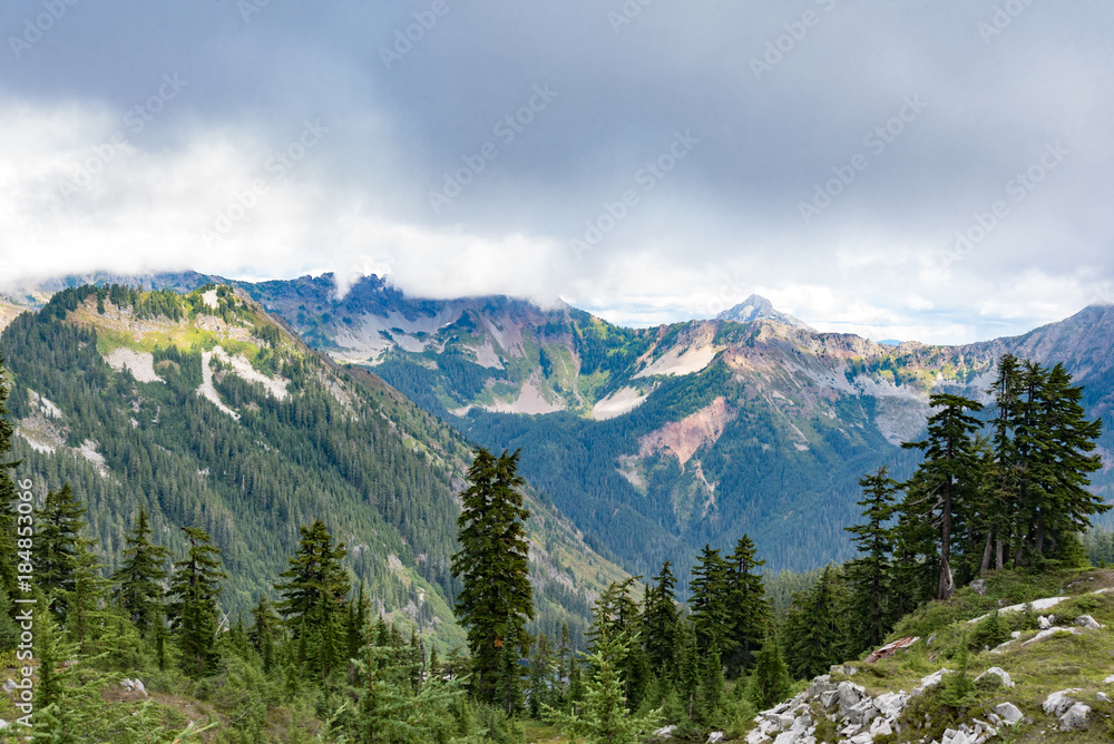 Rocky mountains covered with green forest with blue sky and white clouds on the background Rocky mountains covered with green forest with blue sky and white clouds on the background