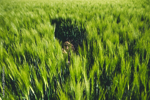 girl hides in a field