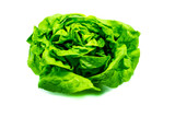 Kopfsalat salat isoliert freigestellt auf weißen Hintergrund, Freisteller
