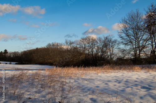 Farm field covered by snow under a beautiful blue sky