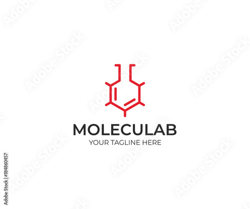 Molecular Lab Logo Template. Skeletal Molecular Structure Vector Design. Laboratory Flask Illustration