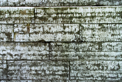 Moldy wall with stains of white brick