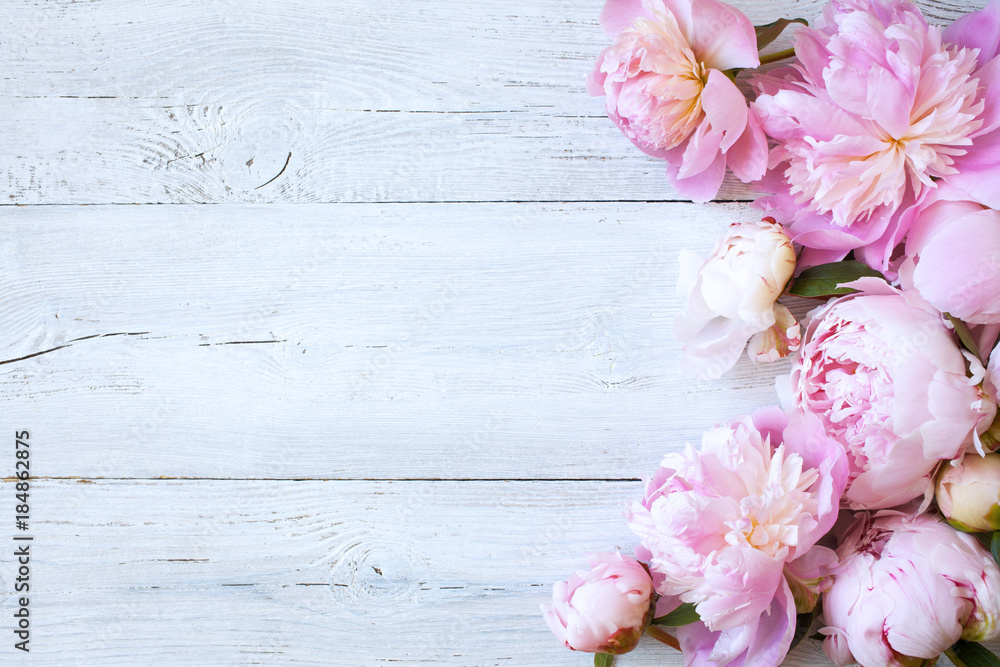 Pink peonies and roses on a wooden background - obrazy, fototapety, plakaty 