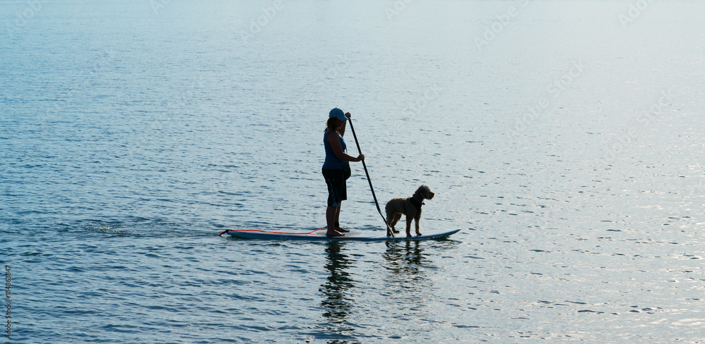 Naklejka premium Silhouette unrecognizable woman and dog on stand-up paddle-board paddling towards light
