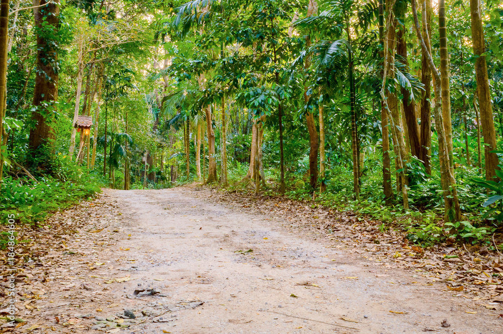 Dirt road stretching through Cambodian jungle Dirt road stretching through Cambodian jungle
