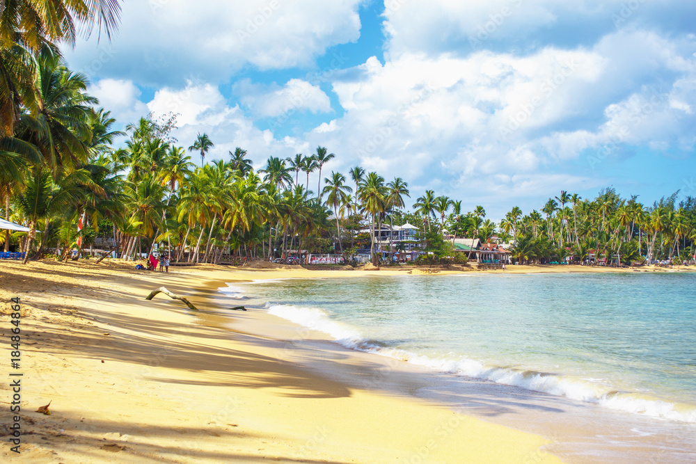 Obraz premium Caribbean beach