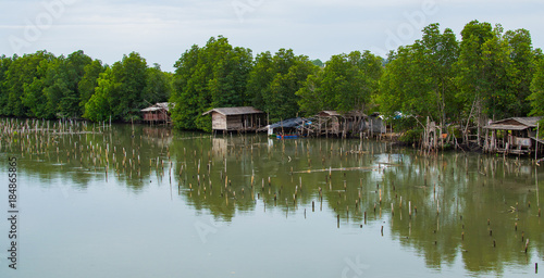 huts at river in tropical landscape - houses in jungle