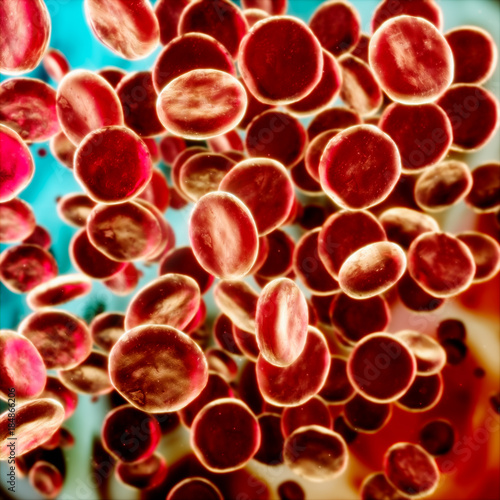 Stream of red blood cells, circulatory system