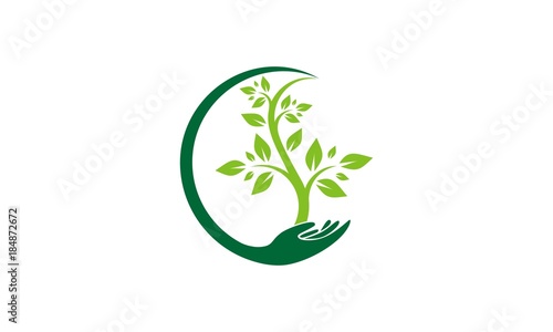 Tree and hand Logo