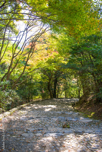 Stone steps leading down to the river in Arashiyama