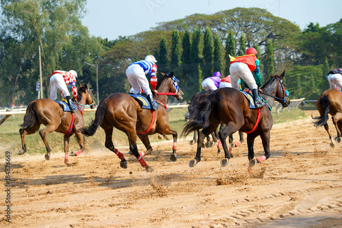 Race horses with jockeys
