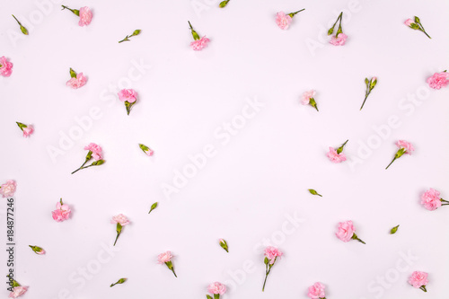 Floral frame or border made of pink carnation on pink background. Flat lay. Top view. Valentine's day and sweet love concept.