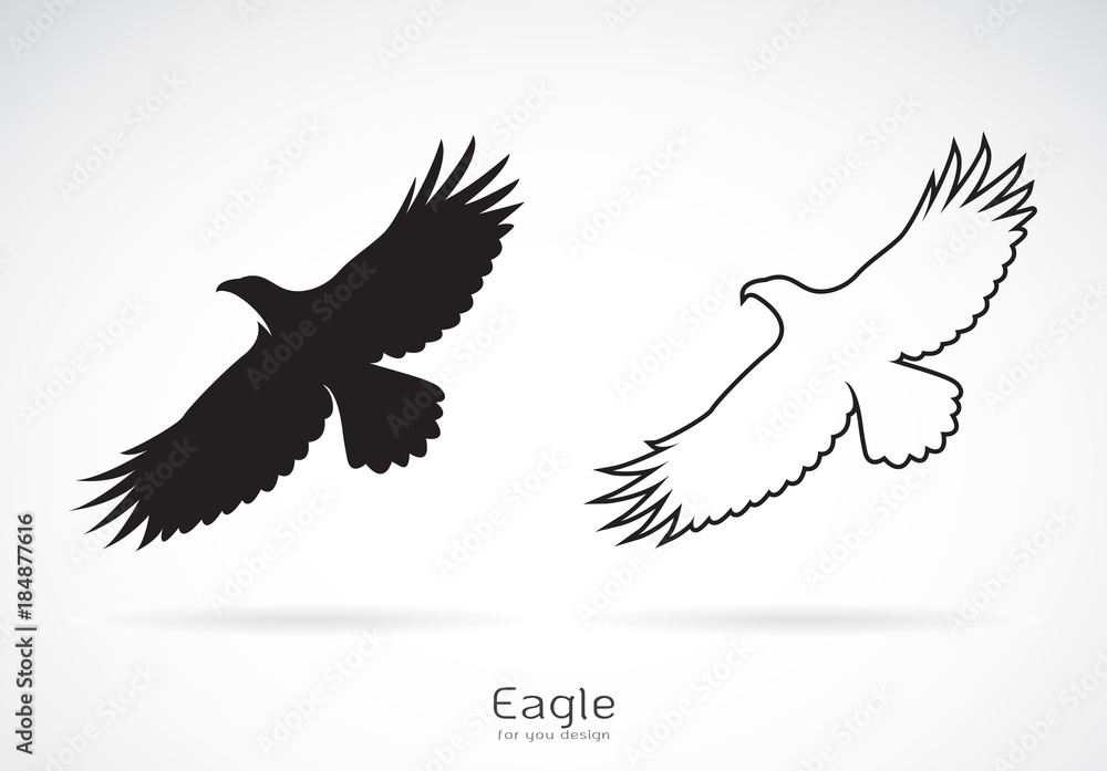 Naklejka premium Vector of the eagle is spreading its wings. on white background, Wild Animals. Bird.