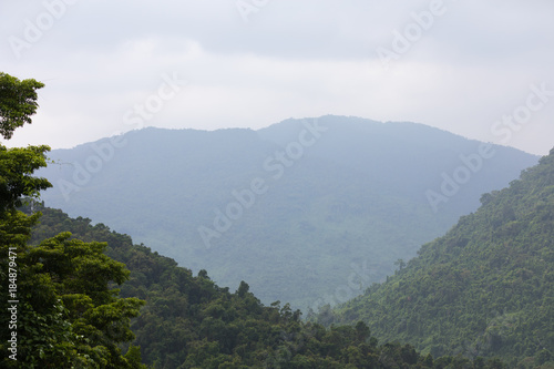 Morning in national park Ya Nuo Da on island of Hainan