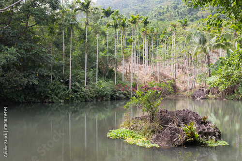 Decorative pond with an island and palm trees in a tropical park Ya Nuo Da on island of Hainan photo