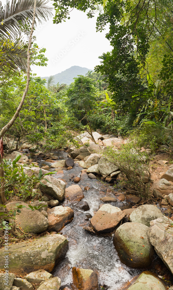 Vertical panoramic landscape with a tropical forest and a mountain stream in the park Ya Nuo Da in China Vertical panoramic landscape with a tropical forest and a mountain stream in the park Ya Nuo Da in China