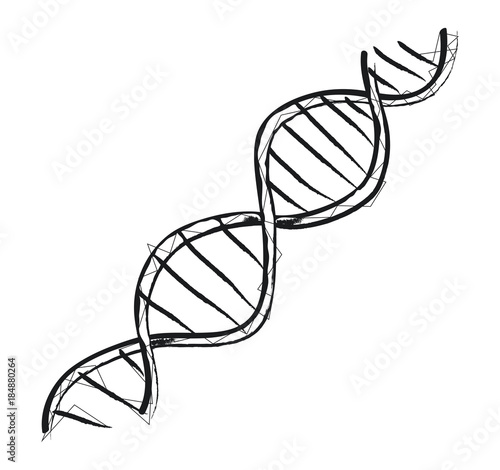 DNA Code Structure Icon Vector Illustration