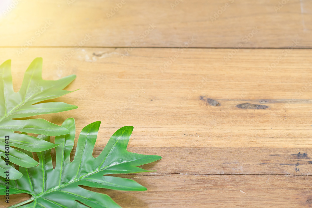 Green leaf on wooden background with copy space for text Green leaf on wooden background with copy space for text