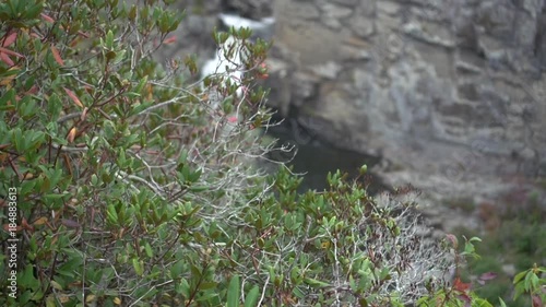 a mountain waterfall photo