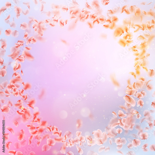 Sakura flying downwind petals on wind. EPS 10 vector © berezovskyi