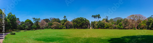 Kandy  Sri Lanka - 5 February 2017  Panoramic view of Royal Botanical King Gardens  Peradeniya  Sri Lanka