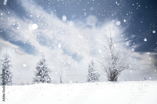 Trees covered with hoarfrost and snow in winter mountains - Christmas snowy backgroundic holiday background