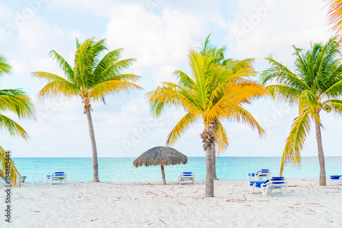 Fototapeta Naklejka Na Ścianę i Meble -  Idyllic tropical beach with white sand, turquoise ocean water and big palm trees
