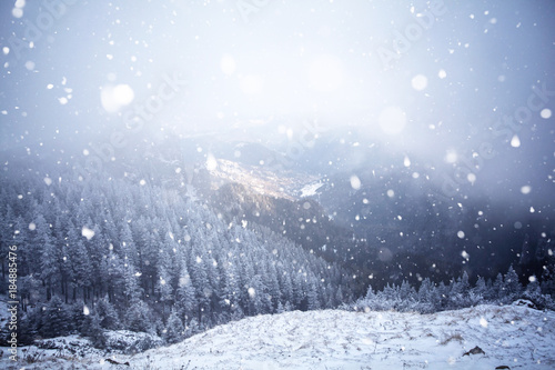 Wallpaper Mural Trees covered with hoarfrost and snow in winter mountains - Christmas snowy backgroundic holiday background Torontodigital.ca