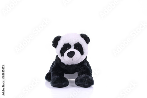 Fototapeta Naklejka Na Ścianę i Meble -  panda toy soft kids gifi child
