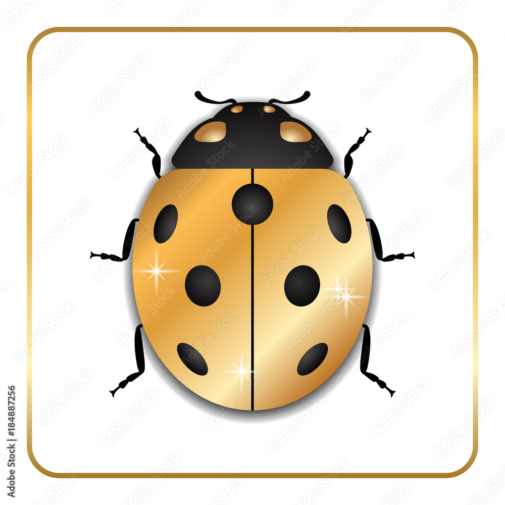 Naklejka premium Ladybug gold insect small icon. Golden metal lady bug animal sign, isolated on white background. 3d volume bright design. Cute shiny jewelry ladybird. Lady bird closeup beetle Vector illustration