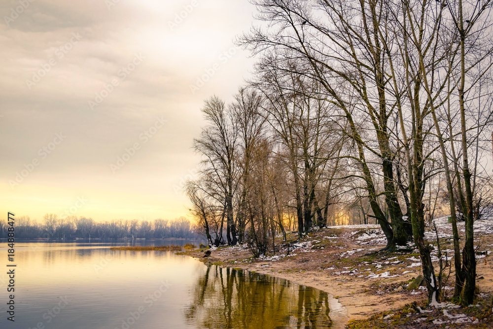 View of willow trees and poplars close to the Dnieper River in Kiev during a cold and clear winter afternoon View of willow trees and poplars close to the Dnieper River in Kiev during a cold and clear winter afternoon