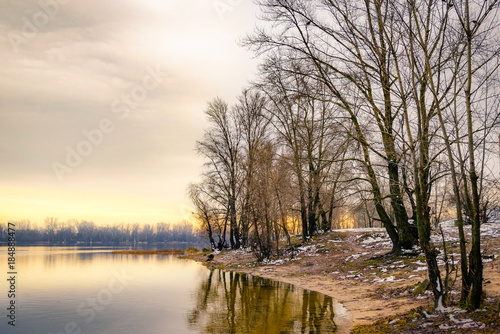 View of willow trees and poplars close to the Dnieper River in Kiev during a cold and clear winter afternoon