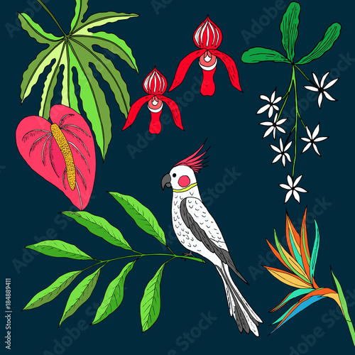 Floral paradise hand drawn tropical leaves