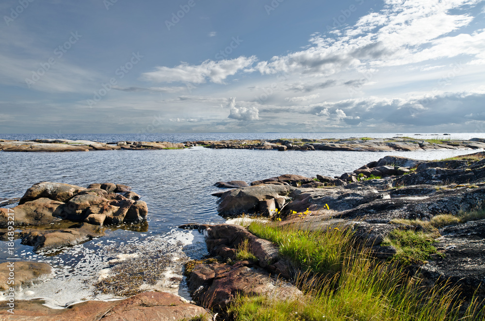 Vegetation and stones on the bank of the White sea Vegetation and stones on the bank of the White sea