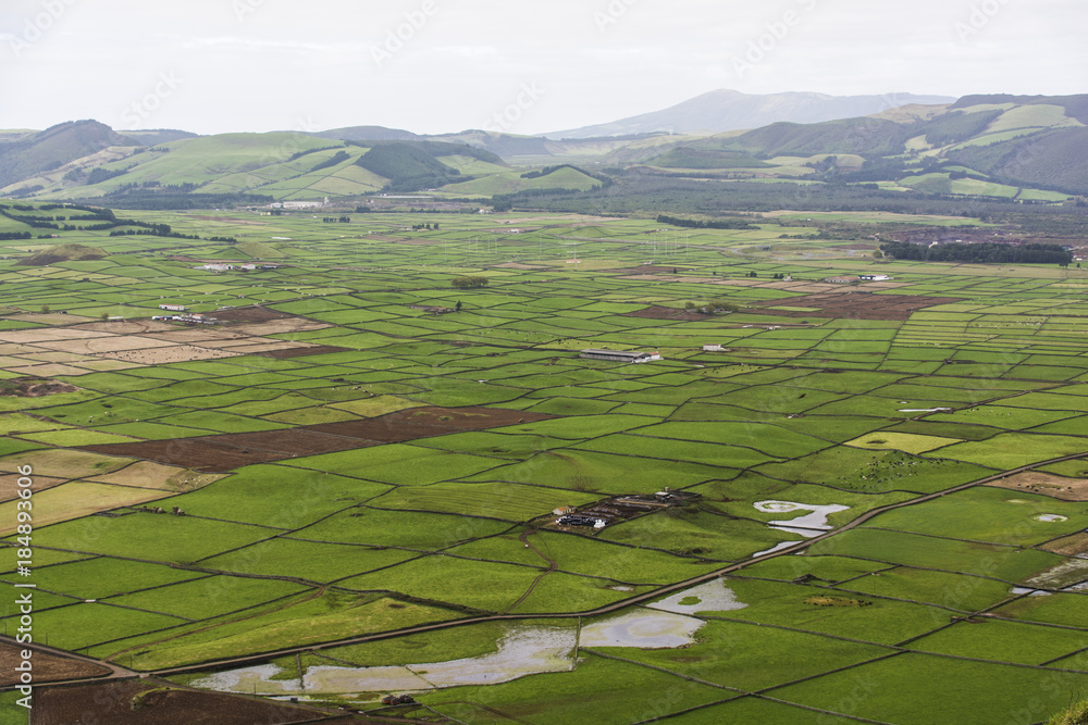 Weideflächen auf der Azoreninsel Terceira.