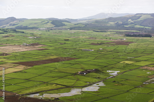 Weidefl  chen auf der Azoreninsel Terceira.